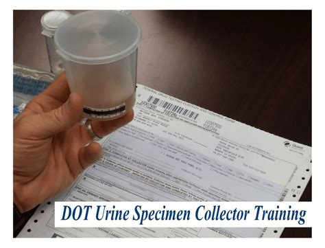 dot specimen collector salary|dot drug tester salary.